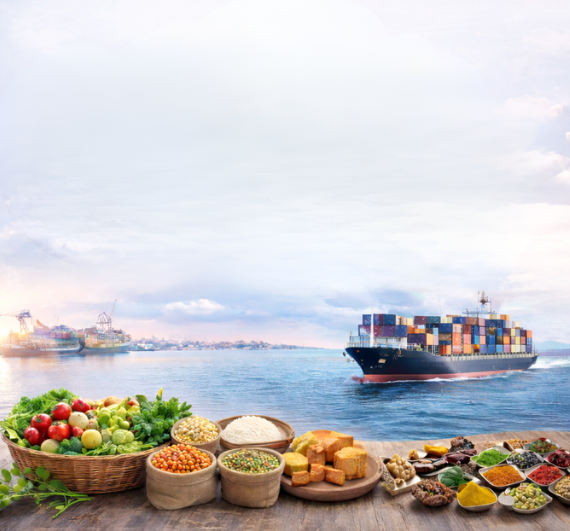 Eightfold Global Ventures Import Export Company India